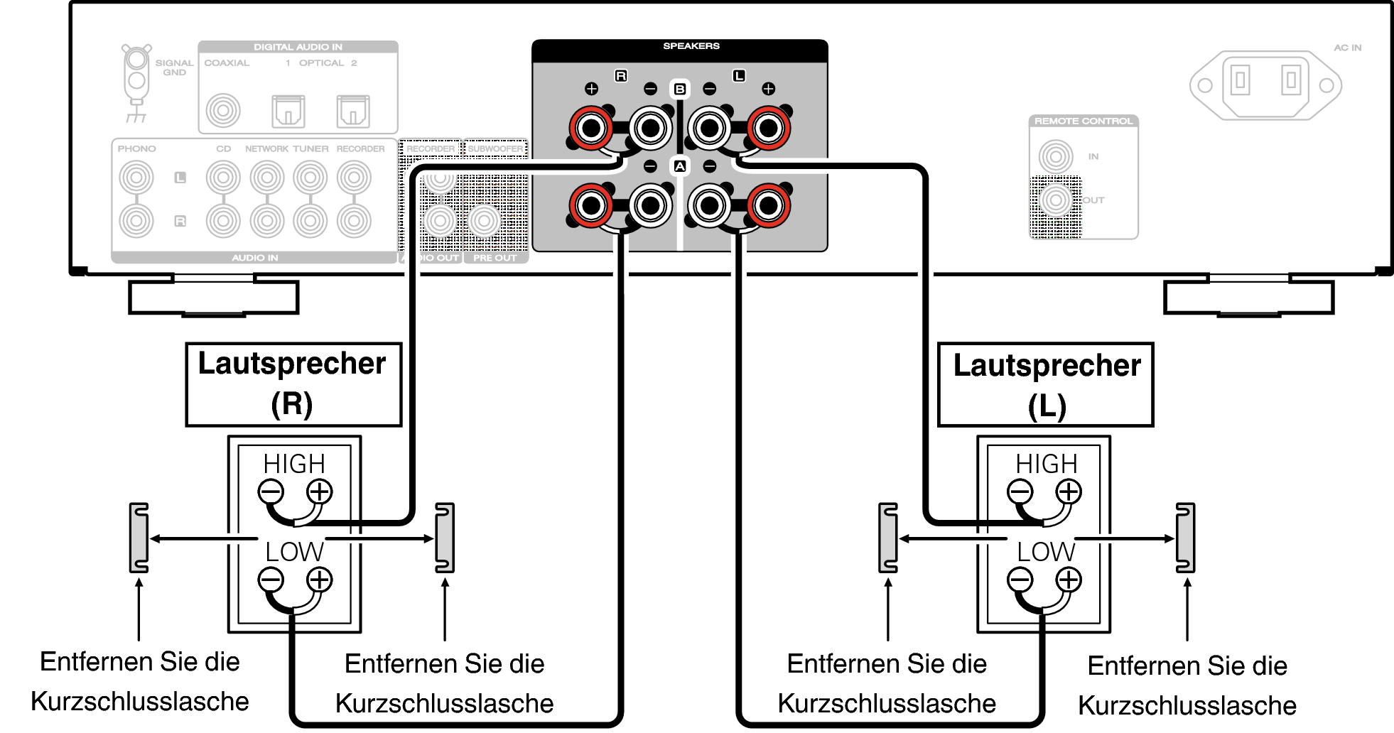 Conne biWiring PM6007N